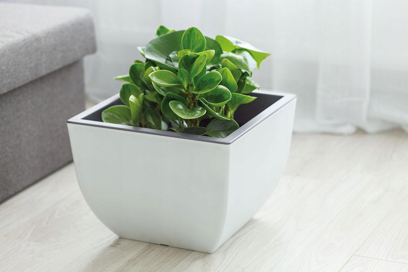 Okrągła doniczka Muna 35 Matowa donica 35 x h26cm nr. 2