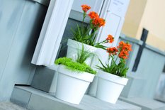 Doniczka okrągła Lofly DLOF250 z podstawką Donica - Miniaturka zdjęcia nr 10