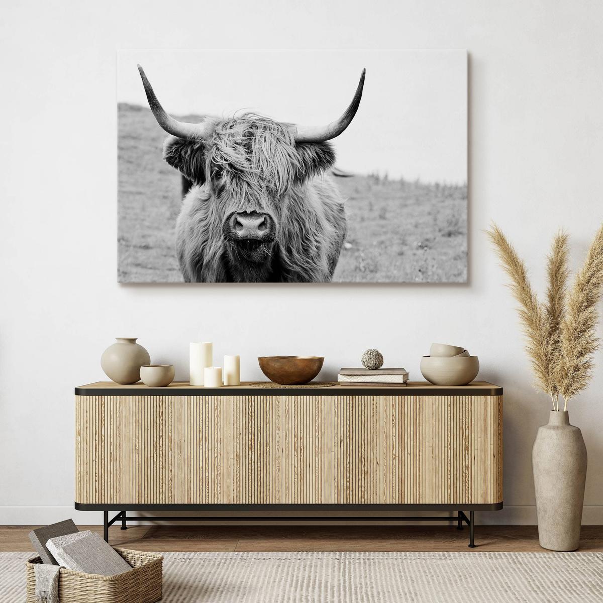 Obraz Na Płótnie Krowa Szkocka Czarno-Biały  120x80 Krajobraz Natura Polana nr. 7