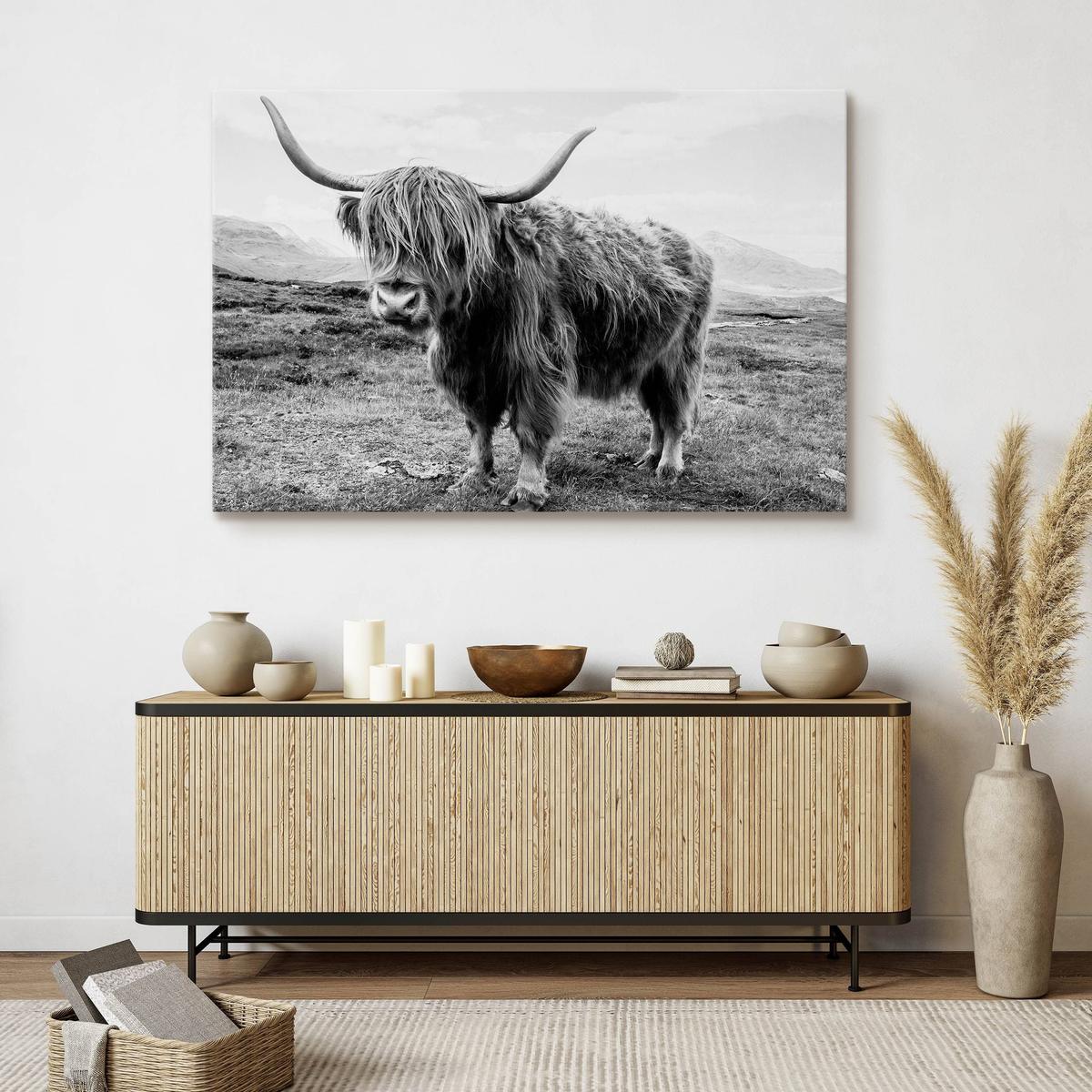 Obraz Do Salonu Krowa Szkocka Krajobraz  40x30 Klify Czarno-Biały Canvas nr. 7