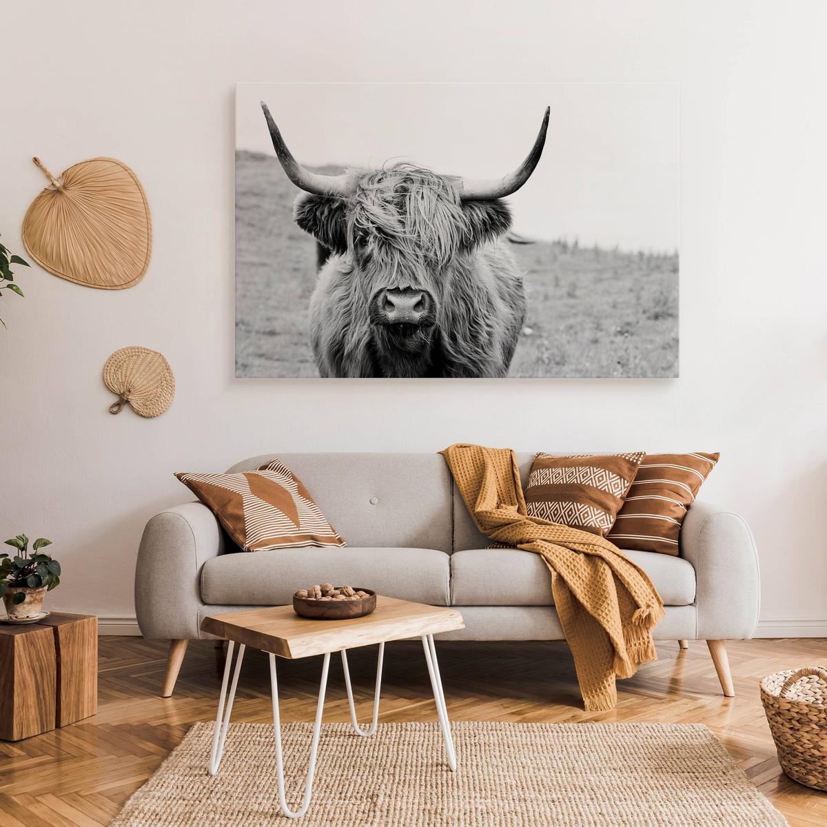 Obraz Na Płótnie Krowa Szkocka Czarno-Biały  100x70 Krajobraz Natura Polana nr. 3