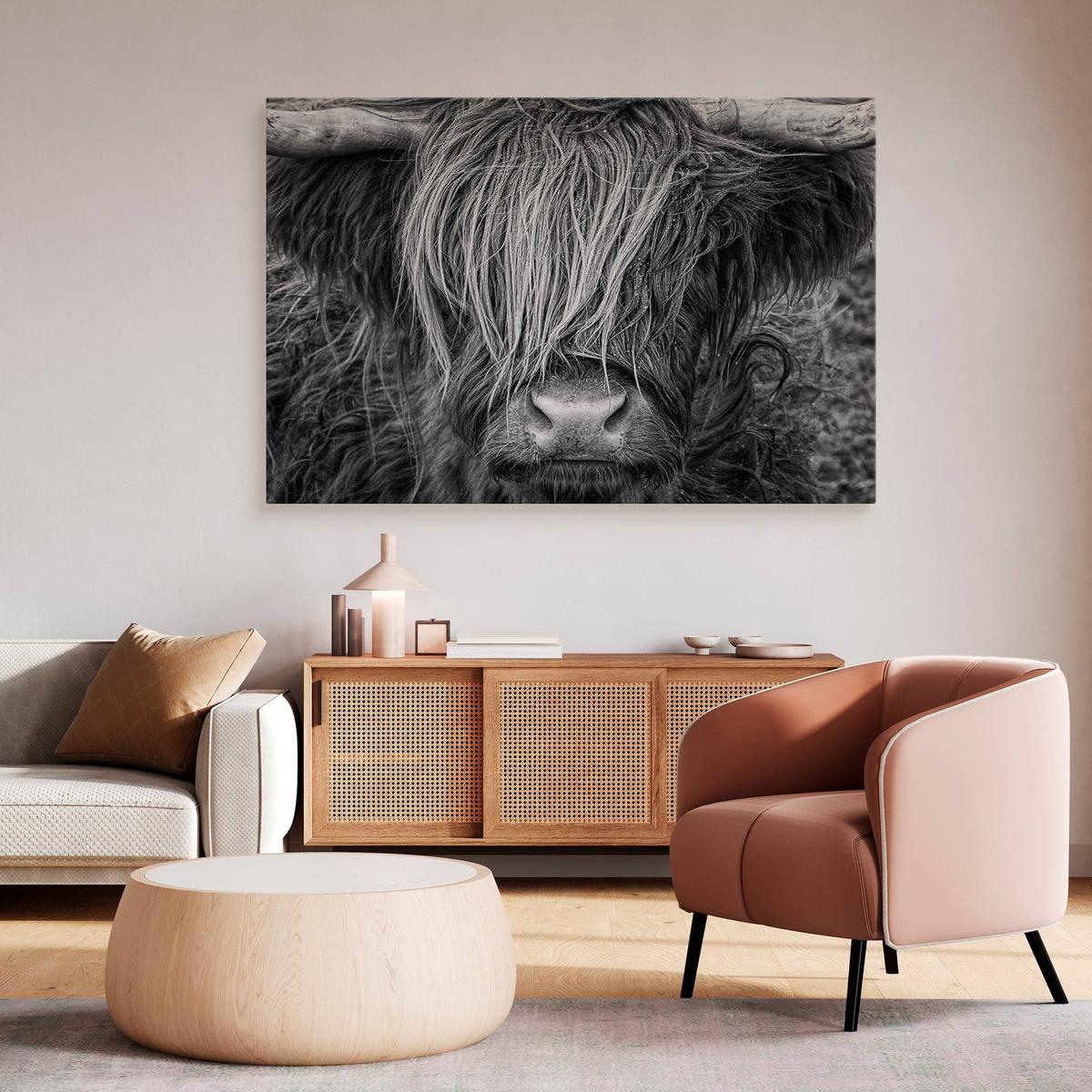 Obraz Na Płótnie Krowa Szkocka Zwierzęta  100x70 Natura Do Salonu Sypialni nr. 4