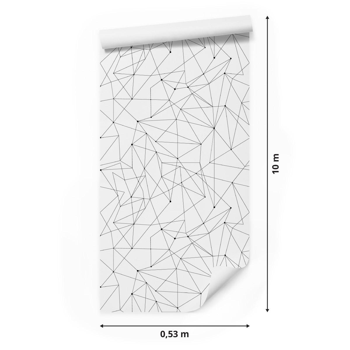 Tapeta Flizelinowa Nowoczesny Wzór GEOMETRYCZNY, dekoracja w stylu nowoczesnym nr. 2