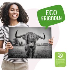Obraz Do Sypialni Dzika Krowa Szkocka  40x30 Natura Czarno-Biały Pejzaż - Miniaturka zdjęcia nr 9