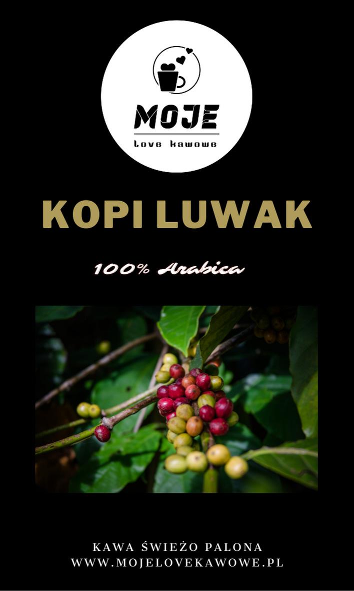 Kawa Kopi Luwak Sumatra- certyfikat 500g ziarnista