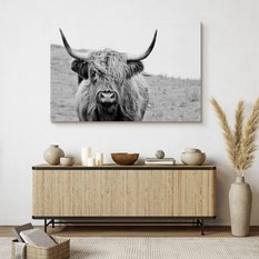 Obraz Na Płótnie Krowa Szkocka Czarno-Biały  120x80 Krajobraz Natura Polana - Miniaturka zdjęcia nr 7
