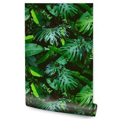 Tapeta Ścienna Zielone LIŚCIE Tropikalne Monstera 53x1000  - Miniaturka zdjęcia nr 1