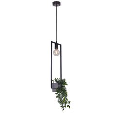 Lampa wisząca z kwietnikiem K-4037 ESTERA 15x100x15 cm do salonu lub pokoju czarny - Miniaturka zdjęcia nr 4