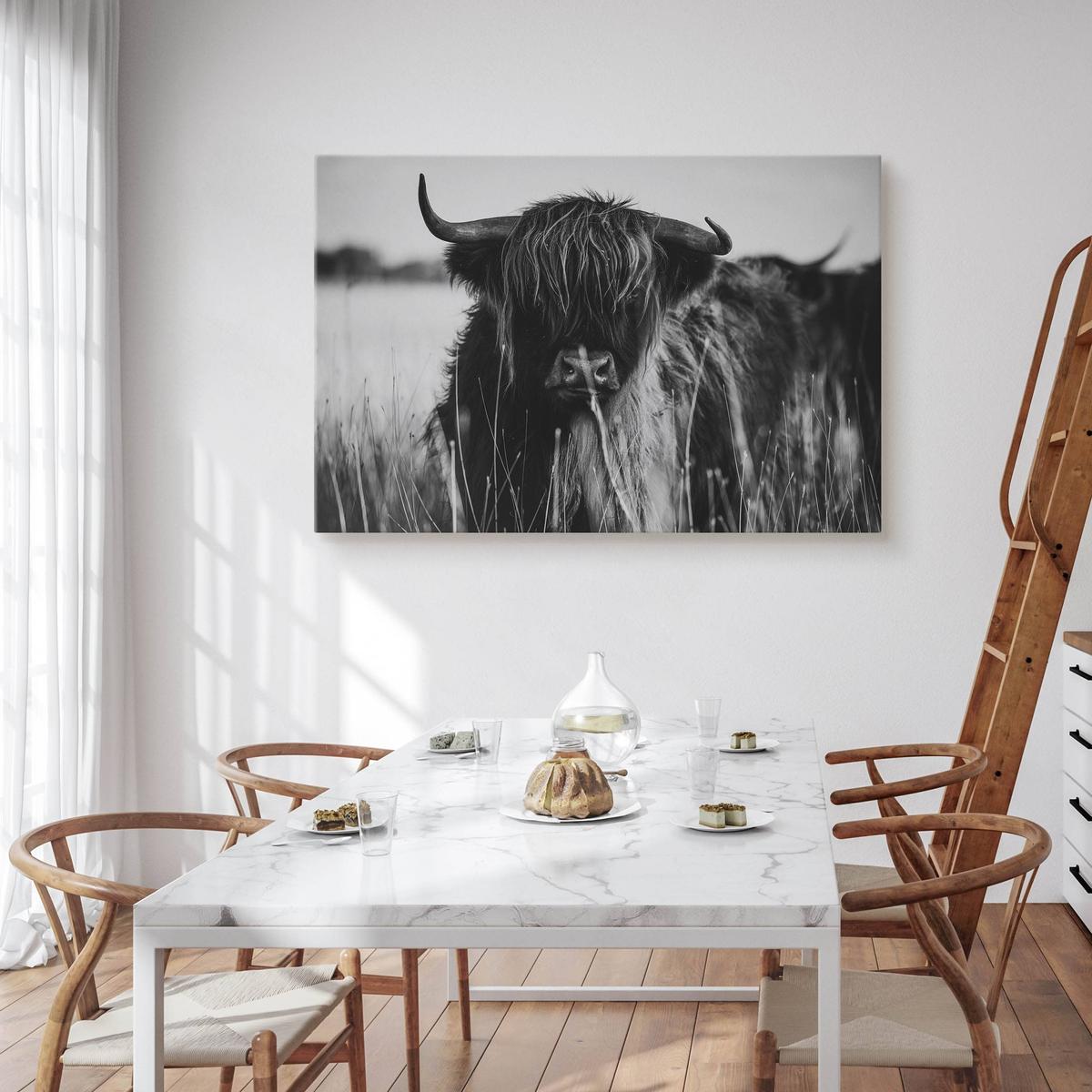 Obraz Do Sypialni Krowa Szkocka Czarno-Biały  90x60 Pejzaż Polana Natura nr. 4