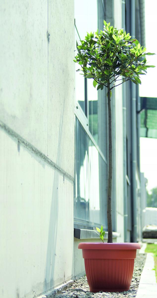 Doniczka klasyczna Terra DCE35 Śr.35cm Donica nr. 3