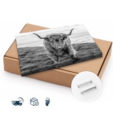 Obraz Na Płótnie Krowa Szkocka Czarno-Biały 120x80 Pejzaż Natura Zwierzęta  - Miniaturka zdjęcia nr 10