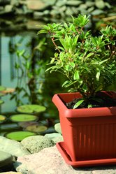 Doniczka kwadratowa Terra DKWT37 + podstawka 25.2l - Miniaturka zdjęcia nr 5