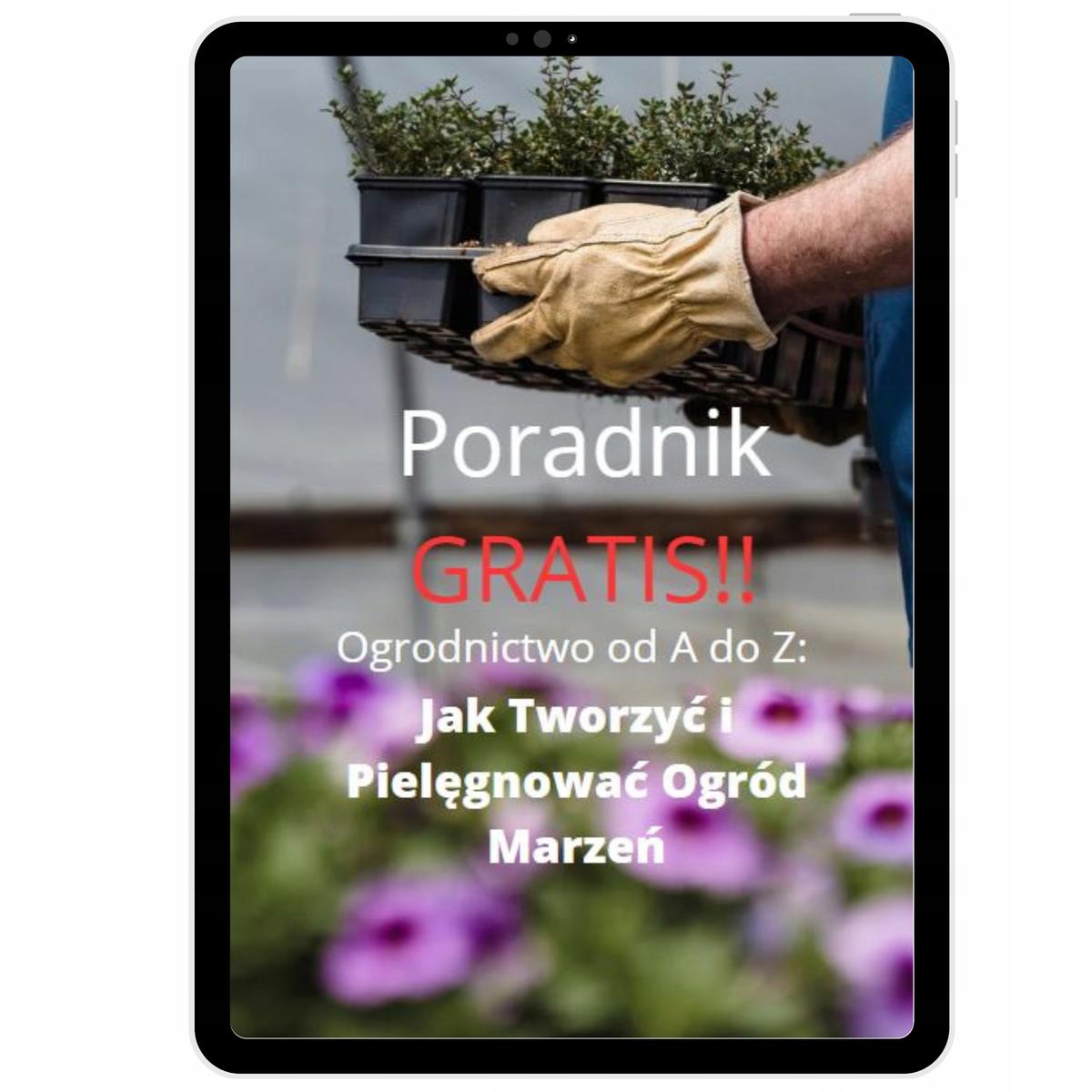 Podwyższana grządka skrzynie na warzywa WARZYWNIAK impregnowany 120x80 cm do ogrodu nr. 10