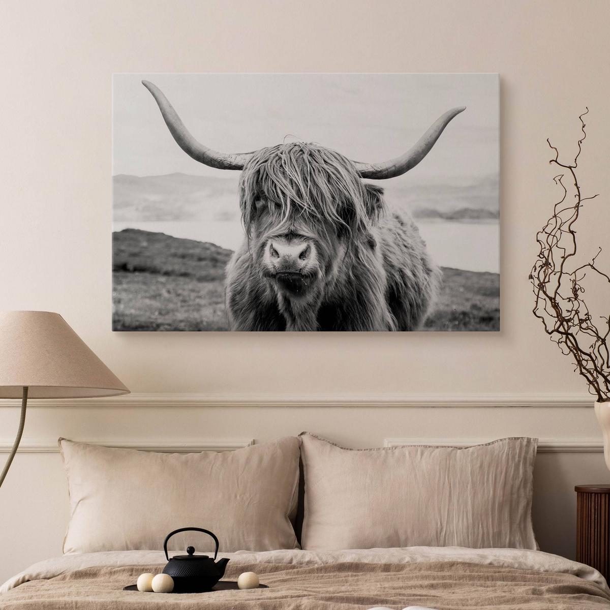 Obraz Do Salonu Krowa Szkocka Klify Czarno-Biały  120x80 Krajobraz Natura nr. 5