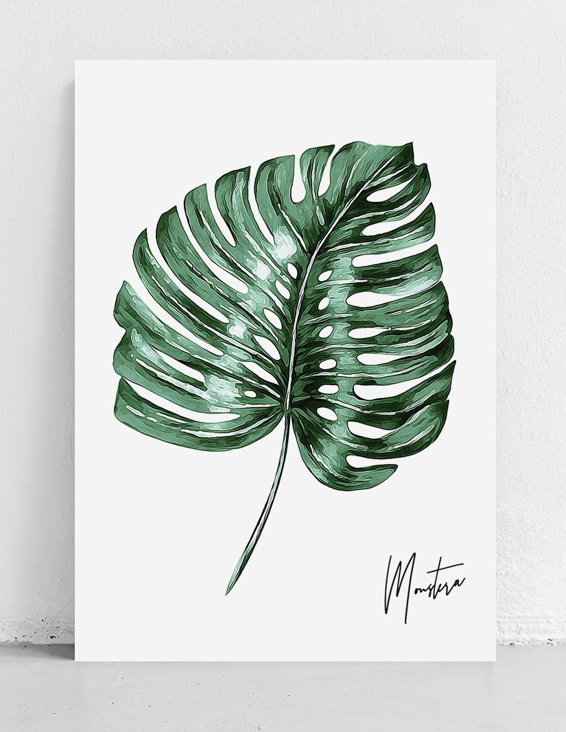 Plakat monstera liść 50x70 cm dekoracja ścienna bez ram  nr. 4