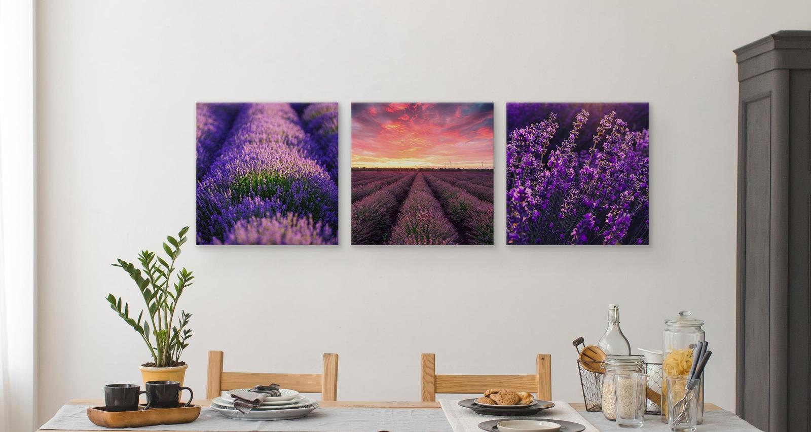 Obrazy Do Kuchni SET Pole LAWENDY Kwiaty Natura Pejzaż Rośliny 150x50cm nr. 6