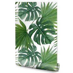 Tapeta Do Jadalni MONSTERA Palma Liście Tropikalne 53x1000  - Miniaturka zdjęcia nr 1