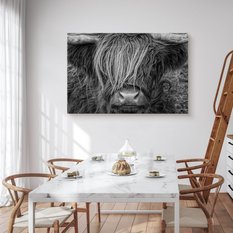 Obraz Na Płótnie Krowa Szkocka Zwierzęta  100x70 Natura Do Salonu Sypialni - Miniaturka zdjęcia nr 6