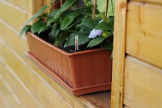 Skrzynka balkonowa z nawadnianiem IS6CAN Doniczka podłużna - Miniaturka zdjęcia nr 2