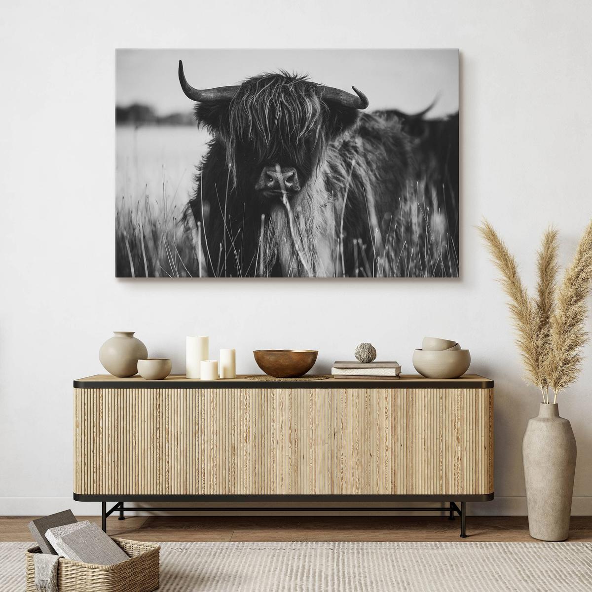 Obraz Do Sypialni Krowa Szkocka Czarno-Biały  90x60 Pejzaż Polana Natura nr. 7