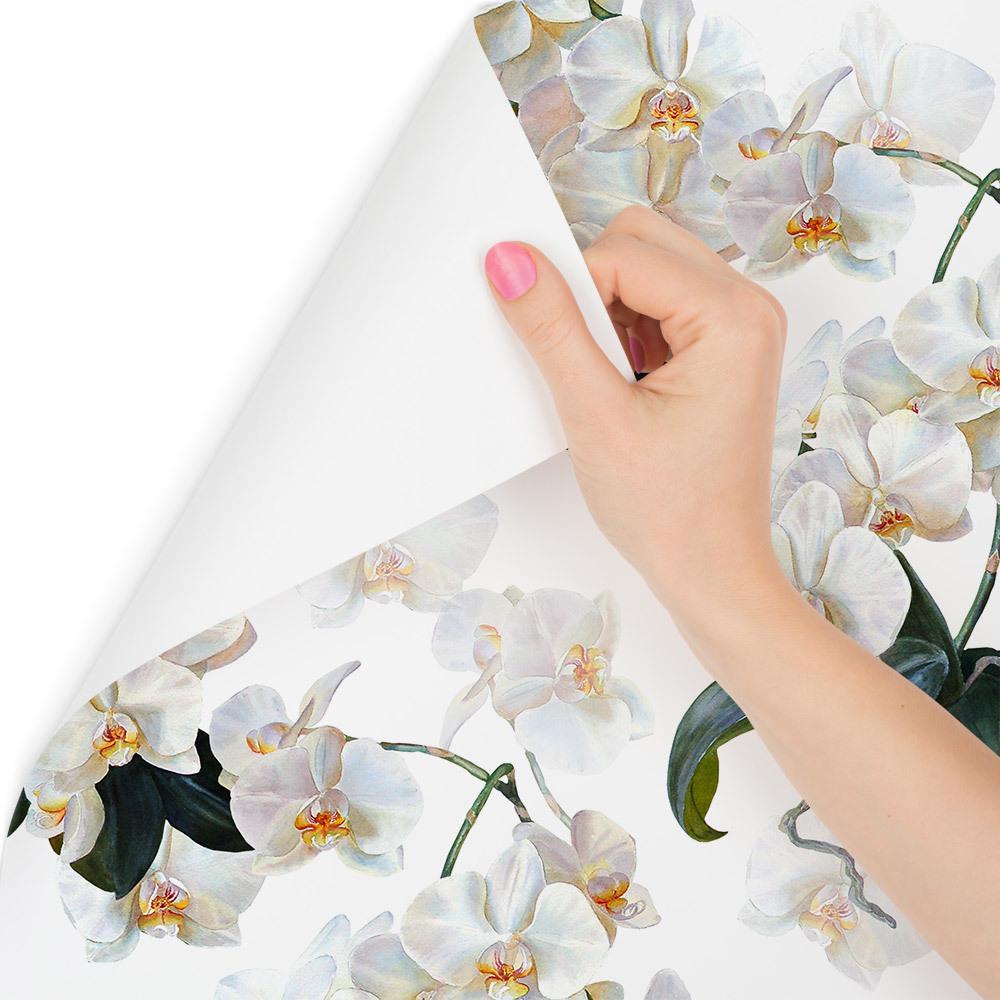 Tapeta do sypialni egzotyczne storczyki orchidee  nr. 3