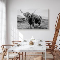Obraz Do Salonu Krowa Szkocka Krajobraz  30x20 Klify Czarno-Biały Canvas - Miniaturka zdjęcia nr 4