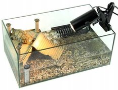 Zestaw Uchwyt do żarówek Heckermann BM-JD-10CM czarny + Żarówka IR do terrarium 50W - Miniaturka zdjęcia nr 12