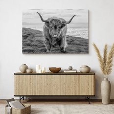 Obraz Na Płótnie Krowa Szkocka Czarno-Biały 120x80 Pejzaż Natura Zwierzęta  - Miniaturka zdjęcia nr 5
