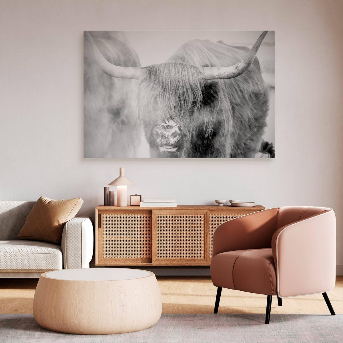 Obraz Na Płótnie Krowa Szkocka Natura  120x80 Krajobraz We Mgle Zwierzęta nr. 4