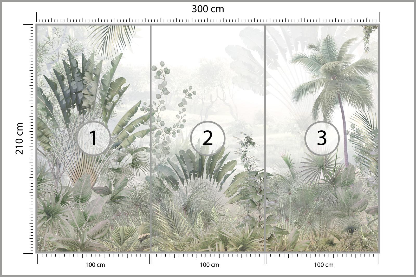 Fototapeta Do Jadalni LAS Tropikalny Dżungla Natura Pejzaż Drzewa Dekoracja Nowoczesna nr. 4