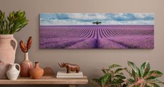 Obraz Do Jadalni Pole LAWENDY Panorama Kwiaty Natura 145x45cm - Miniaturka zdjęcia nr 4