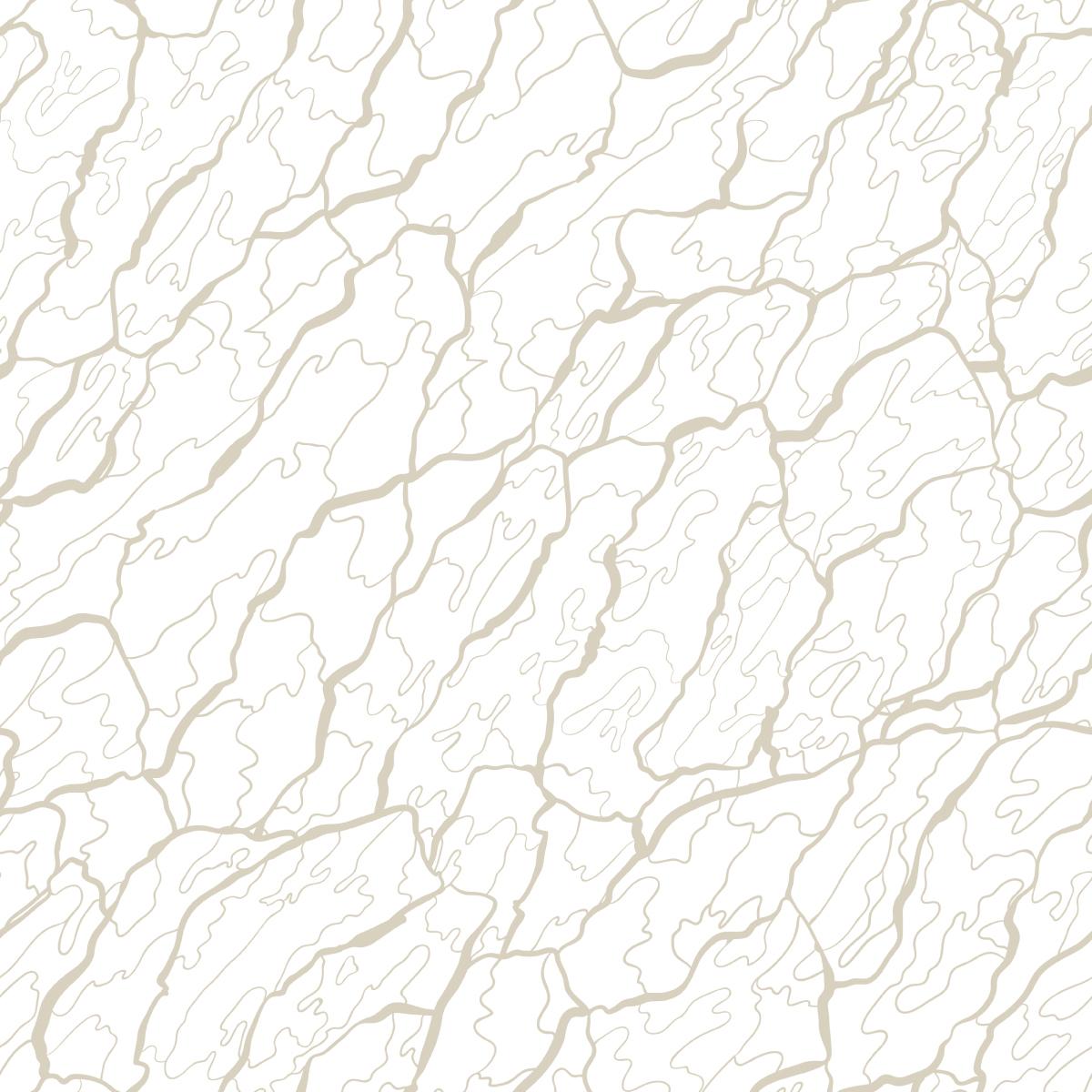 Tapeta Do Salonu Biała KORA Drzewo Natura Ozdoba  nr. 5