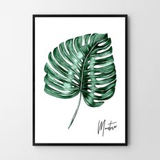 Plakat monstera liść 50x70 cm dekoracja ścienna bez ram  - Miniaturka zdjęcia nr 1