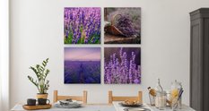 Obrazy Do Kuchni SET Kwiaty Pola LAWENDY Natura Rośliny 100x100cm - Miniaturka zdjęcia nr 6