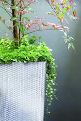 Donica wysoka ratanowa DRTS300 35l z wkładem - Miniaturka zdjęcia nr 7