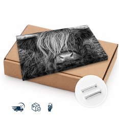 Obraz Na Płótnie Krowa Szkocka Zwierzęta  100x70 Natura Do Salonu Sypialni - Miniaturka zdjęcia nr 10