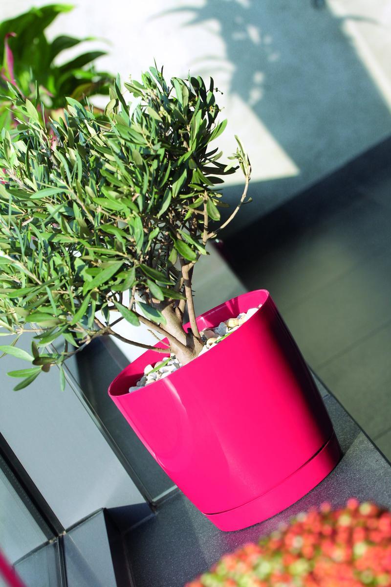 Doniczka z podstawką Okrągła Coubi 24xh22cm Biała nr. 3