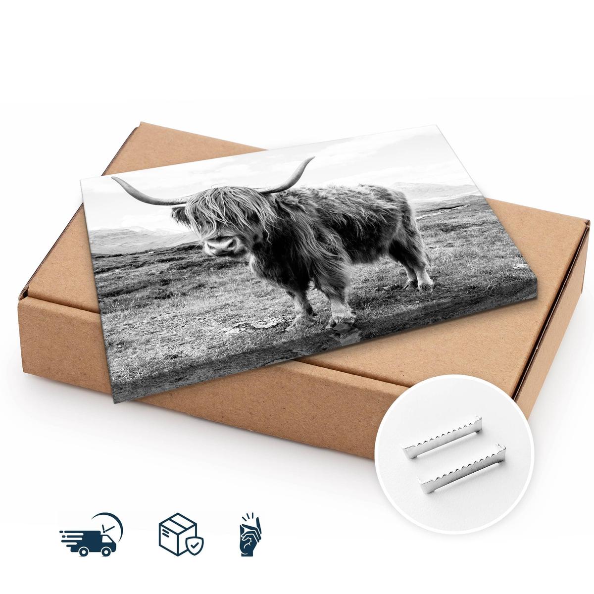 Obraz Do Salonu Krowa Szkocka Krajobraz  30x20 Klify Czarno-Biały Canvas nr. 10