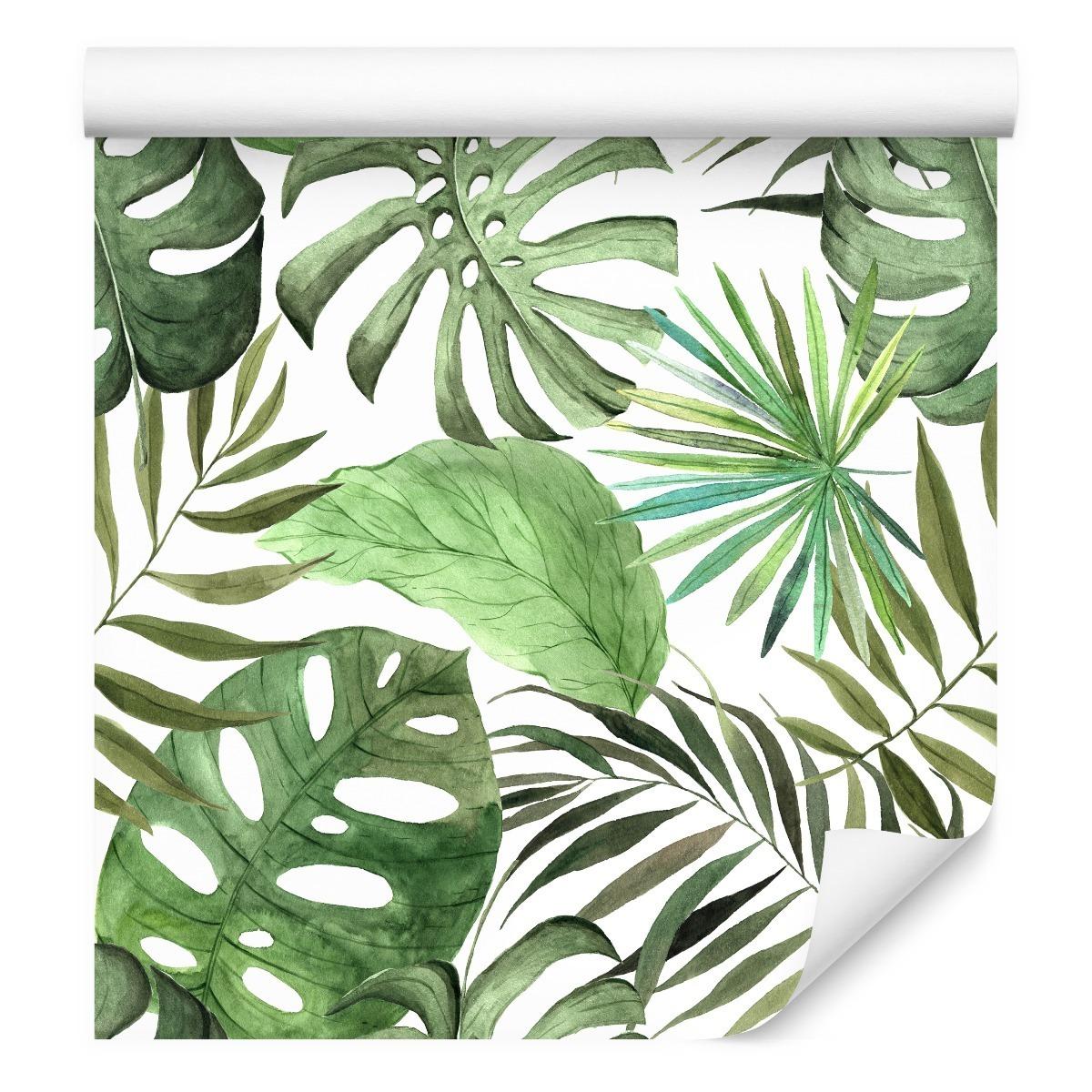 Tapeta, Duże, Egzotyczne Liście, Tropikalna Monstera