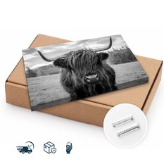 Obraz Do Sypialni Krowa Szkocka Na 120x80 Tle Traw Czarno-Biały Pejzaż - Miniaturka zdjęcia nr 10