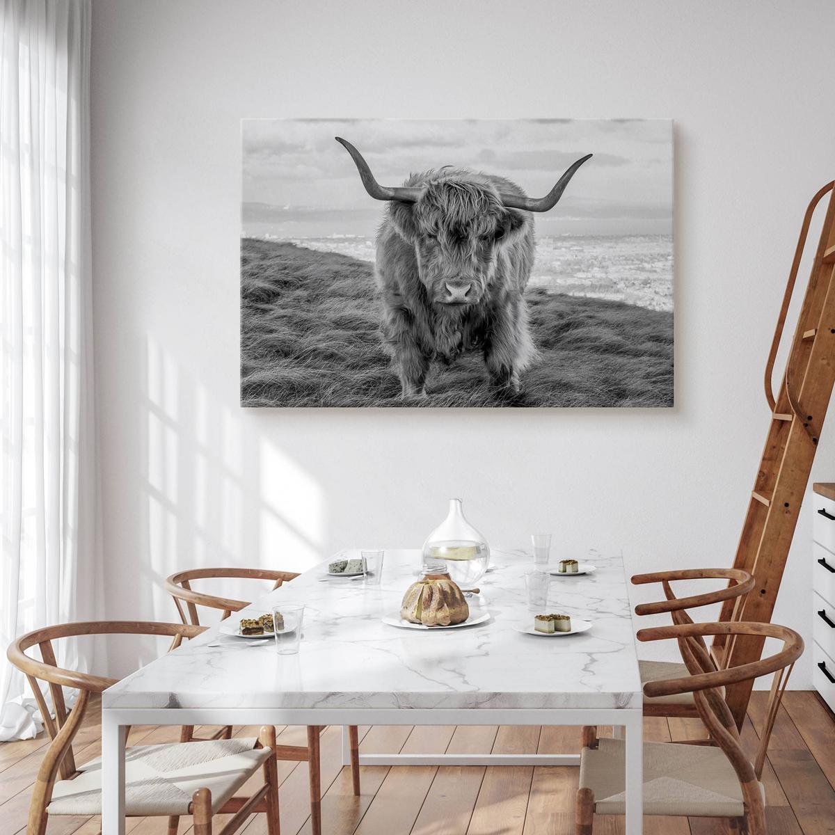Obraz Na Płótnie Krowa Szkocka Czarno-Biały 120x80 Pejzaż Natura Zwierzęta  nr. 4
