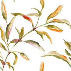 Tapeta Do Jadalni LIŚCIE Akwarela Liście Rośliny - Miniaturka zdjęcia nr 3