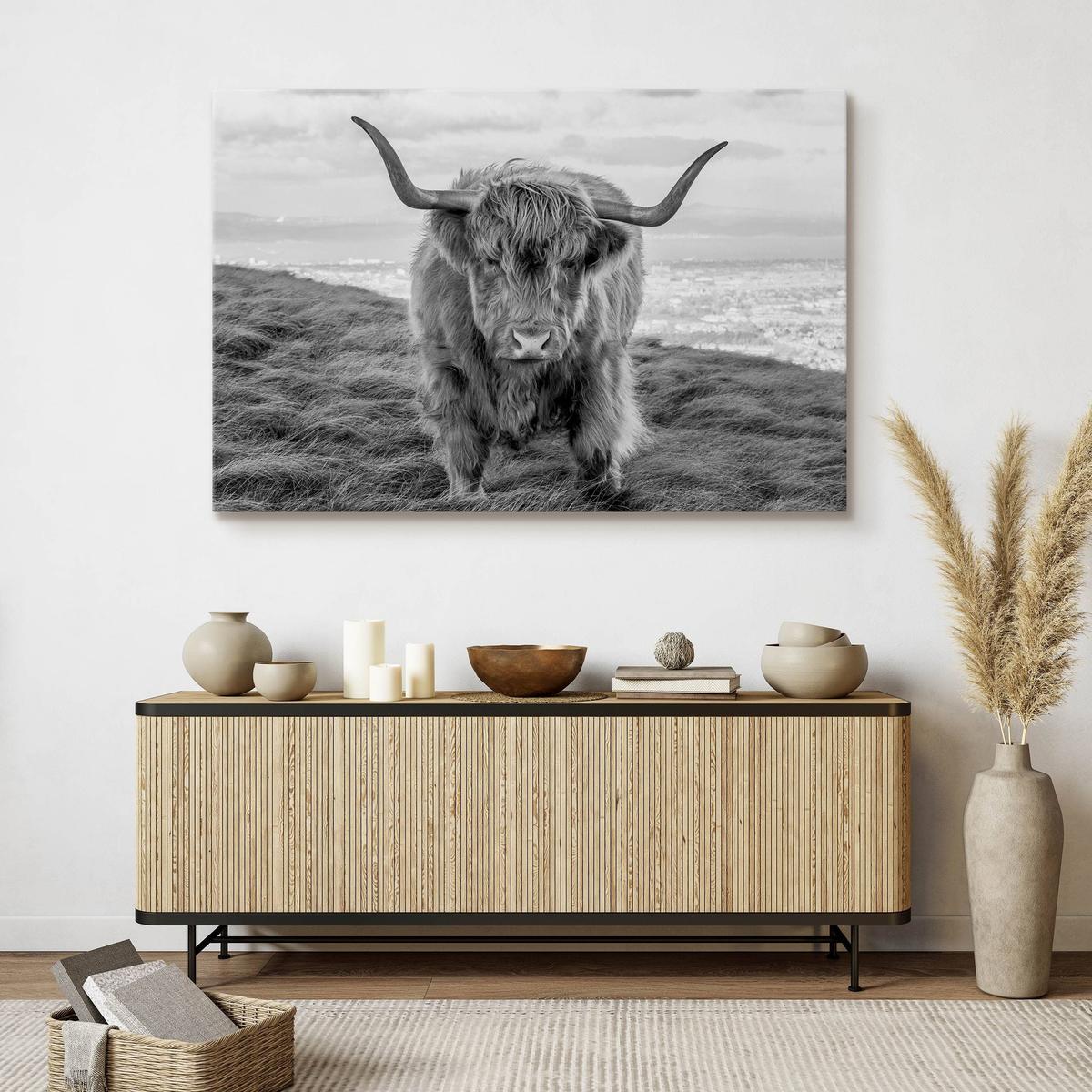 Obraz Na Płótnie Krowa Szkocka Czarno-Biały 120x80 Pejzaż Natura Zwierzęta  nr. 5