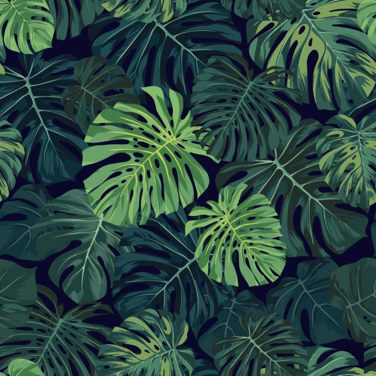 Tapeta, Duże Liście Monstera, Zielona Dżungla nr. 4