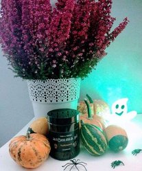 Świeca sojowa zapachowa Halloween 180 ml - Aromma - Miniaturka zdjęcia nr 4