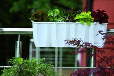 Doniczka na balustradę Wave dł.60cm Skrzynka FALA - Miniaturka zdjęcia nr 3