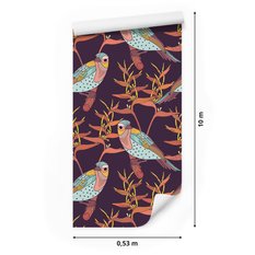 Tapeta – Kolorowe ptaki  - Miniaturka zdjęcia nr 2