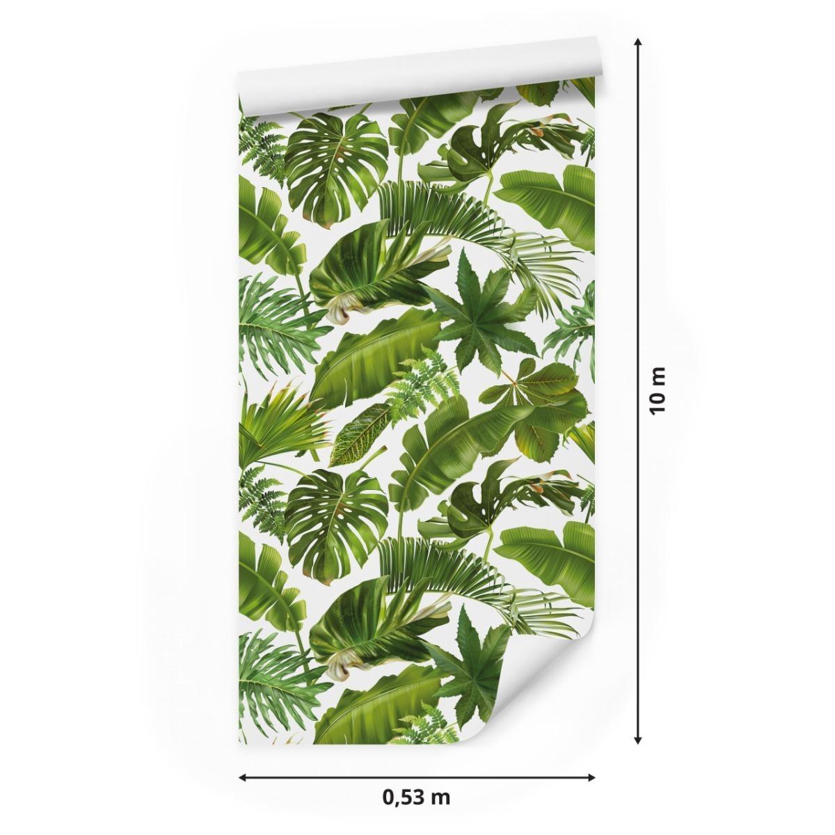 Tapeta LIŚCIE Tropikalne Bananowiec Palma Monstera 53x1000  nr. 2