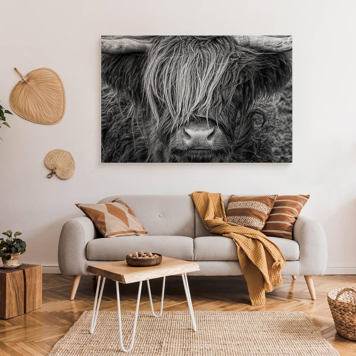 Obraz Na Płótnie Krowa Szkocka Zwierzęta  100x70 Natura Do Salonu Sypialni nr. 7