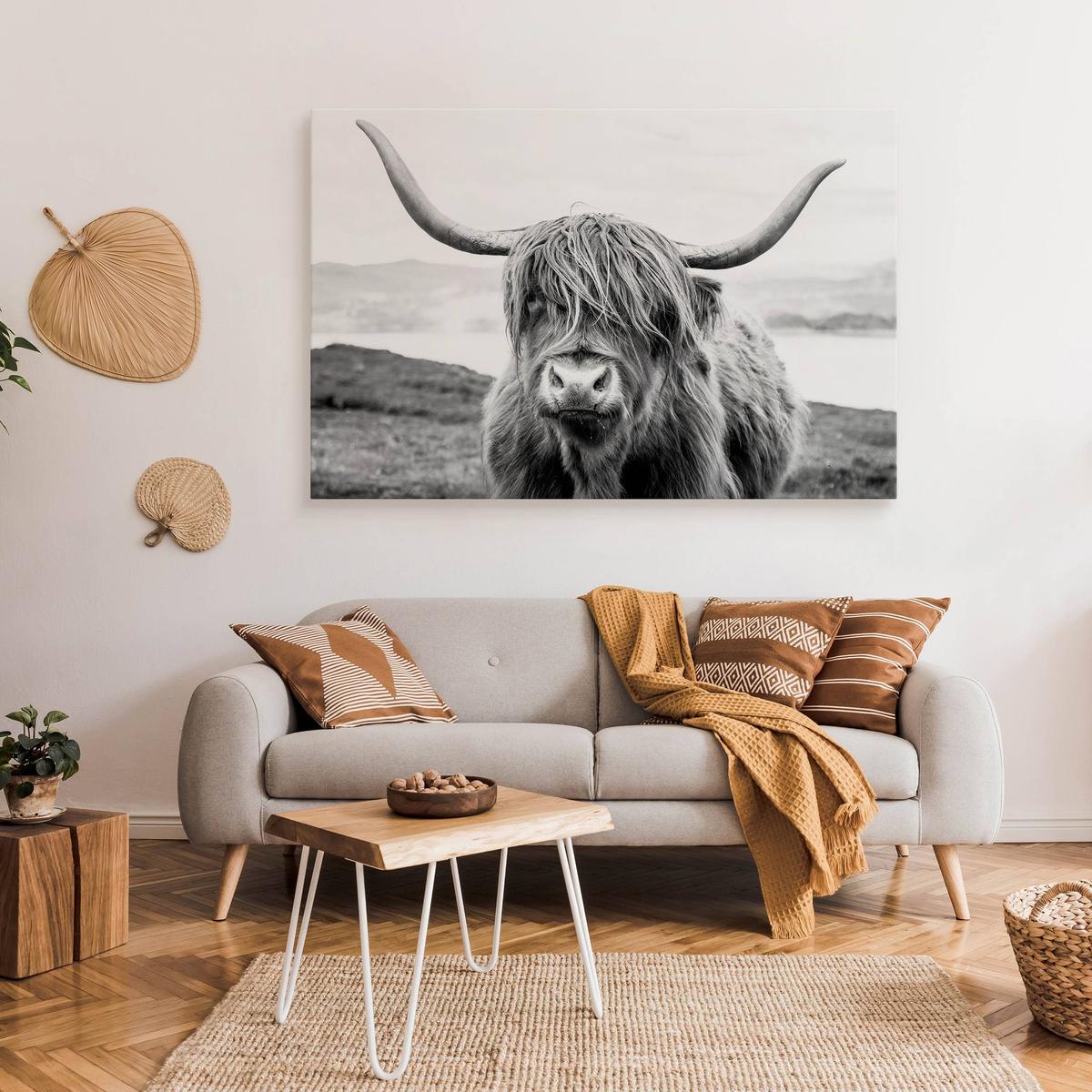 Obraz Do Salonu Krowa Szkocka Klify Czarno-Biały  70x50 Krajobraz Natura nr. 7